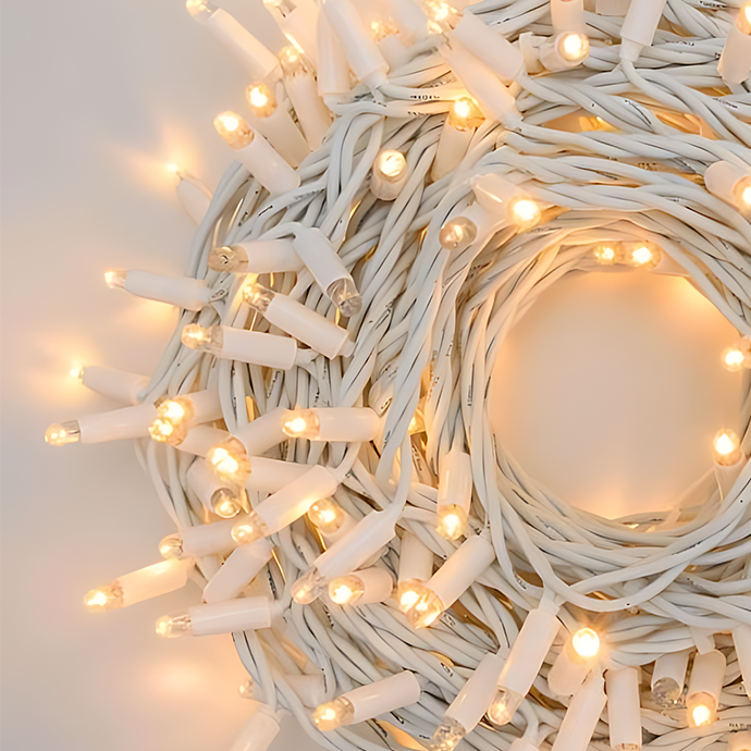 Lauko ir vidaus girlianda (LED lemputės) 100 m PROLED balta 6